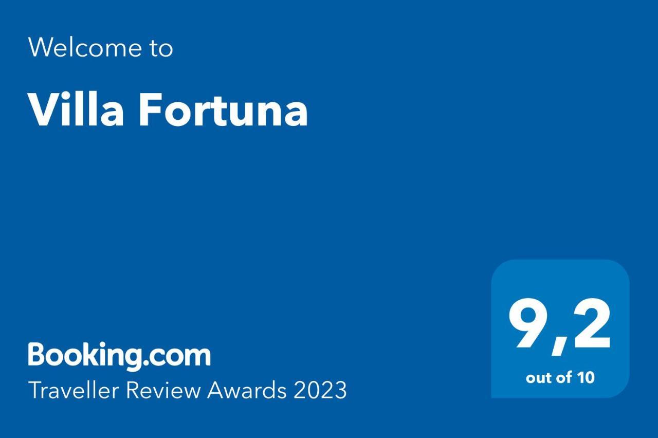 Fortuna איה נאפה